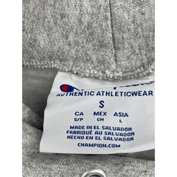 Champion Roger Williams University Hooded Sweatshirt Men Small Gray New - Picture 4 of 12